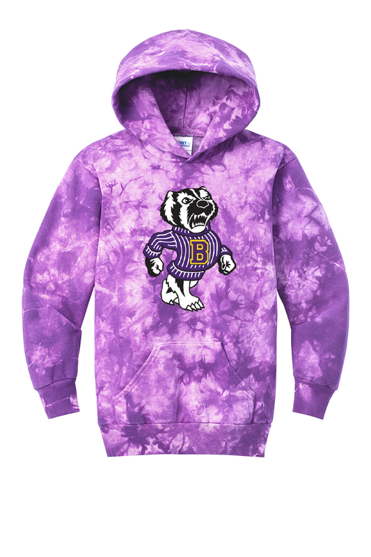 Purple Tie-Dye Hoodie with Bert - Youth